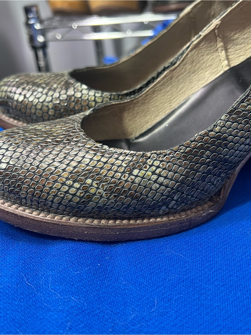 🚫🦅|•FREEBIRD BY STEVEN•| 'Randi' Pewter Snake Size 7-8 - Picture 13 of 14
